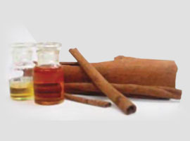 cinnamon bark oil