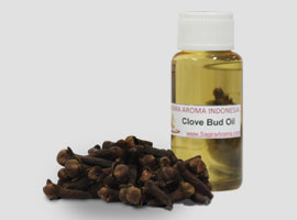 clove bud oil